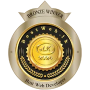 bronze-best-web-developer-2024